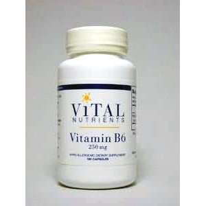  Vital Nutrients   Vitamin B 6   100 caps / 250 mg Health 