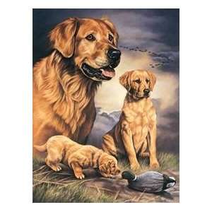    Golden Retriever Hunting Dog tin sign #911 