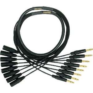   Gold 8 Channel TRS XLR Male Snake Cable, 20 Feet Musical Instruments