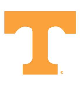TENNESSEE VOLUNTEERS POWER T clear car decal sticker UT  