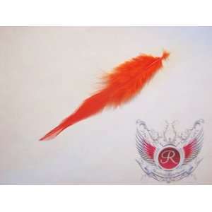  New Wave Hair Extension Feather (Orange) Beauty