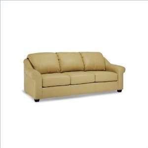   Distinction Leather Concord Queen Size Sleeper Sofa Furniture & Decor