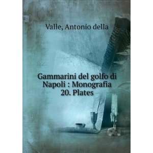   golfo di Napoli  Monografia. 20. Plates Antonio della Valle Books