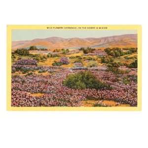  Verbenas Blooming in Desert Giclee Poster Print, 32x24 