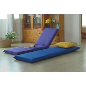    Blue Folding Portable BackJack Floor Chair