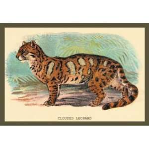 Clouded Leopard 18X27 Giclee Paper