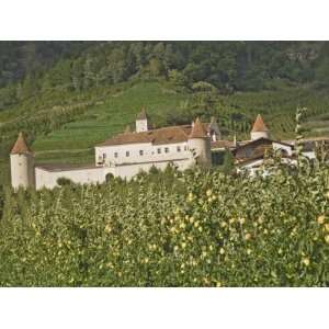 Fortified House Surrounded by Apple Orchards, Coldrano, Venosta Valley 
