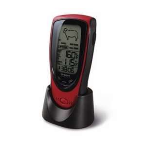 NEW Talking Wireless BBQ/Oven Thermometer (Audio/Video/Electronics 