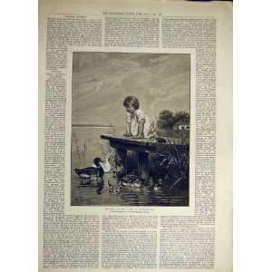  1888 Young Ducks Beyschlag Child Jetty Pier Print Art 