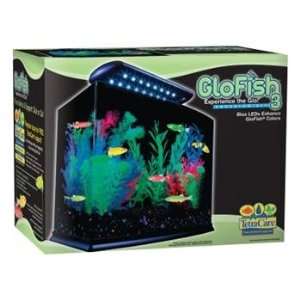  Glofish Aquarium Kit 3Gal