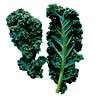 Heirloom Vegetable Seed Packet   Kale  