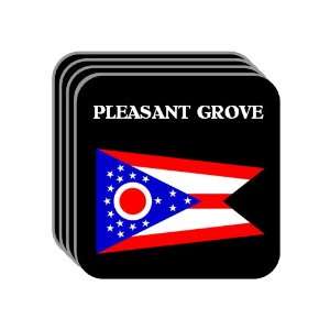  US State Flag   PLEASANT GROVE, Ohio (OH) Set of 4 Mini 
