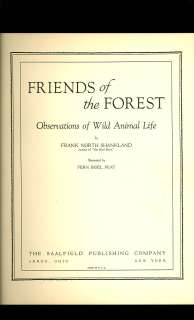 1932 FERN BISEL PEAT Print~ Forest Friends~ REYNARD FOX  