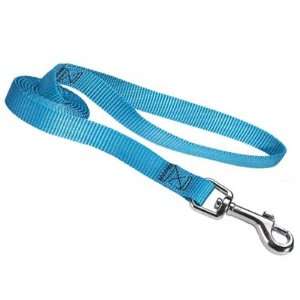  Guardian Gear Malibu Light Blue Nylon Dog Leash 4 x 1 