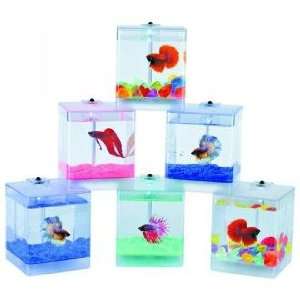  LED Aqua Box Fish Bowl