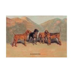  Bloodhounds 20x30 poster