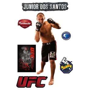  UFC Junior Dos Santos Wall Graphic