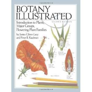   Groups, Flowering Plant Families [Paperback] Janice Glimn Lacy Books