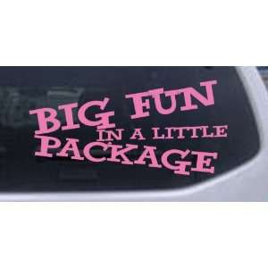  Pink 48in X 23.0in    Big Fun in a Little Package Funny 