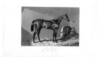 MERRY MONARCH DERBY WIN 1845 RACE HORSE ANTIQUE PRINT  