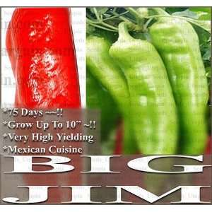 40 NUMEX BIG JIM MILD HOT Pepper seeds 500 2.5K SHU ~ Grows up to 10 