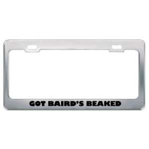  Got BairdS Beaked Whale? Animals Pets Metal License Plate 