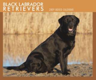 Labrador Retrievers, Black 2009 Boxed Calendar