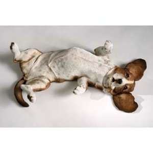  Basset Hound   Mid Size 