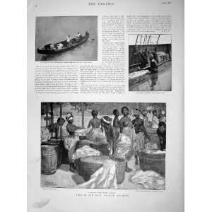  1898 Laundry Lagos Krooboy Canoe Accra Elliot Fry Abbey 