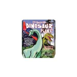  New   Dinosaur Plant Case Pack 24   706524 Toys & Games