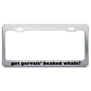 Got Gervais Beaked Whale? Animals Pets Metal License Plate Frame 