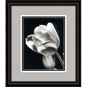  Tulip by Len Prince   Framed Artwork