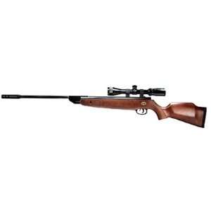 Beeman GH950 .22 Cal Air Rifle with 4X32 Scope  Sports 