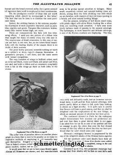 1908 MILLINERY Book Illustrated Milliner Hat Making Make Gibson Girl 