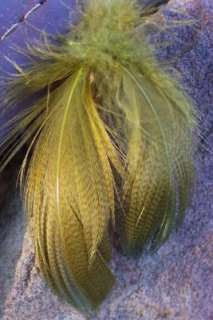 30 MALLARD DUCK PLUMAGE BARRED FEATHERS DYED OLIVE  