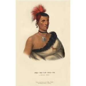PES KE LE CHA CO, a Pawnee Chief McKenney Hall Indian Print 13 x 19 