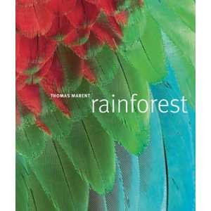 SciEd Rainforest  Industrial & Scientific