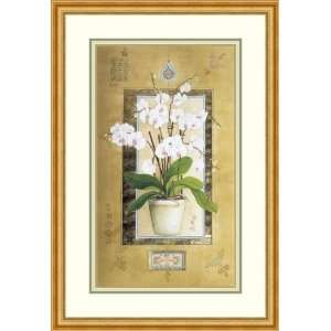  Phalaenopsis II by Nahid Ghodsi   Framed Artwork