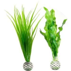  biOrb Plant   Small   2 Pack (Quantity of 4) Health 