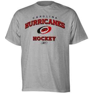 Reebok Carolina Hurricanes Youth Ash Primary Logo T shirt 