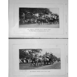    1907 Edward Colston Horses Carriage Stern Blue Roan