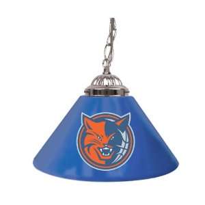  NEW Charlotte Bobcats NBA Single Shade Bar Lamp   14 inch (Game 