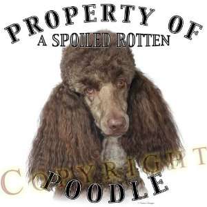  Poodle Brown dog breed THROW PILLOW 16 x 16