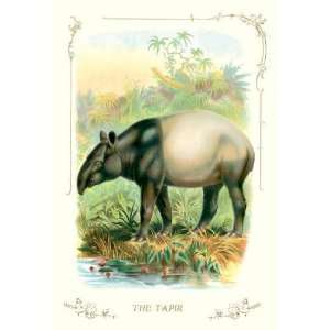  The Tapir 28x42 Giclee on Canvas