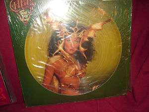 Cher Take Me Home Picture Disc US Vinyl LP  
