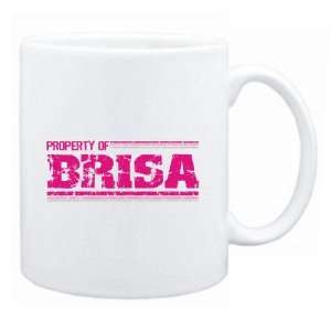 New  Property Of Brisa Retro  Mug Name 