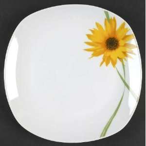 Tabletops Unlimited Dolce Dinner Plate, Fine China Dinnerware  