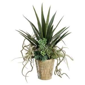  32hx24wx24l Yucca/Succ in Pot Green