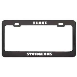  I Love Sturgeons Animals Metal License Plate Frame Tag 