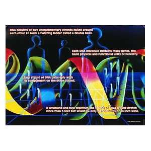  DNA Poster